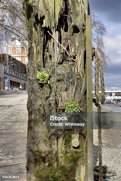 Old Mooring Post River Thames At Putney Stock Photo - Download Image Now - Close-up, Color Image, Eroded