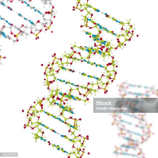 Drugmodel Adn - Fotografias de stock e mais imagens de ADN - ADN, Abstrato, Adenina