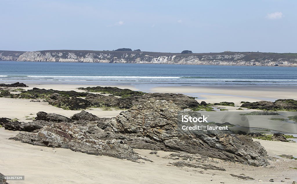Bretagne Küste - Lizenzfrei Alge Stock-Foto
