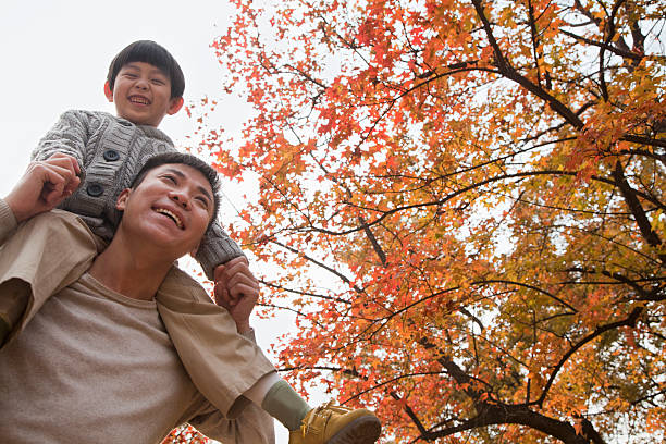 istock Little boy sitting on his fathers shoulders 454358107