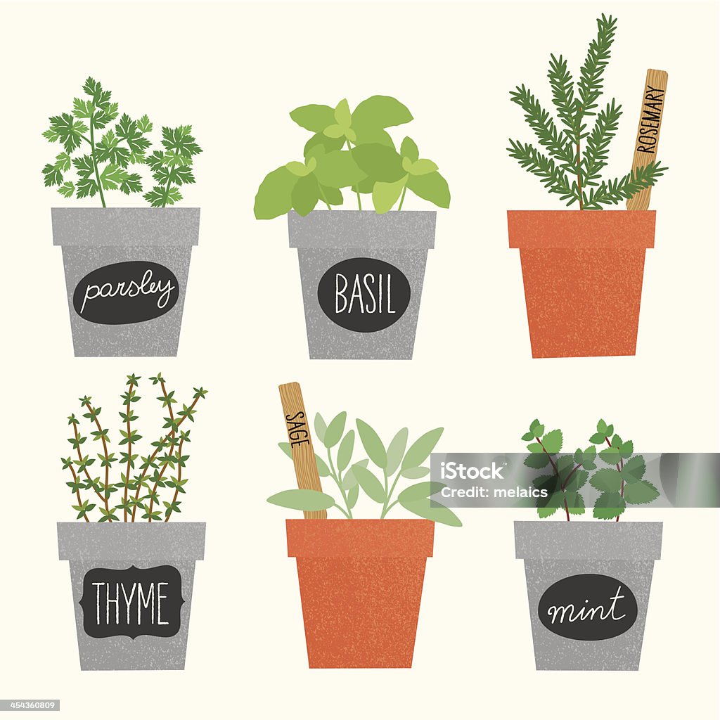 Herbes des casseroles - clipart vectoriel de Basilic libre de droits