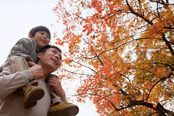 istock Little boy sitting on his fathers shoulders 454361035