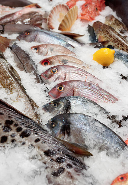 istock Wide selection of fish on market display 454361225