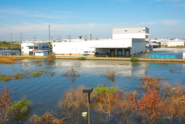 water flood stock photo