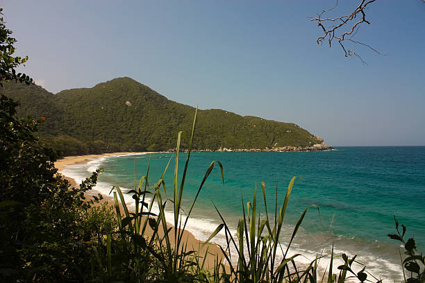 karaibów plaży z tropikalnym. park narodowy tayrona. pułkownik - soledad zdjęcia i obrazy z banku zdjęć