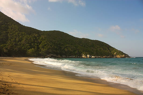 istock Caribbean beach with tropical forest. Tayrona National Park. Col 454365207