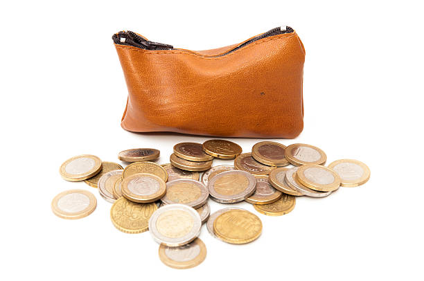 istock purse full of money 454366637