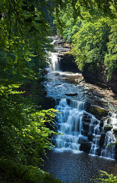 Corra Linn; Corra Linn waterfall on river Clyde clyde river stock pictures, royalty-free photos & images