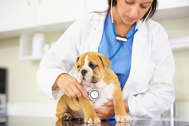 istock Making sure he's a healthy little guy 454370135
