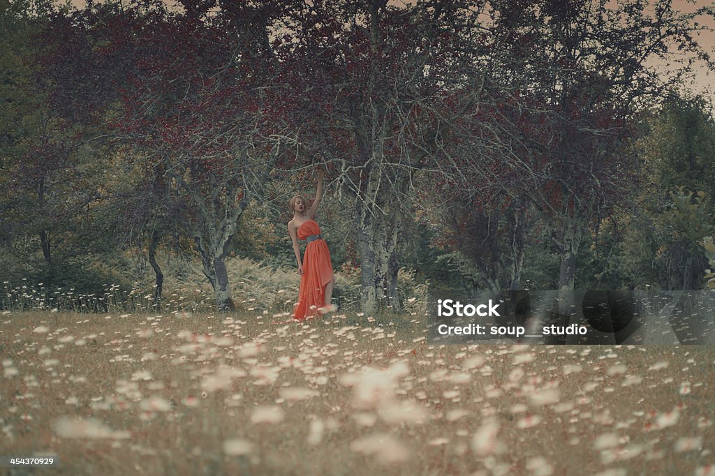 아름다운 성녀 in 요정 임산 - 로열티 프리 20-24세 스톡 사진