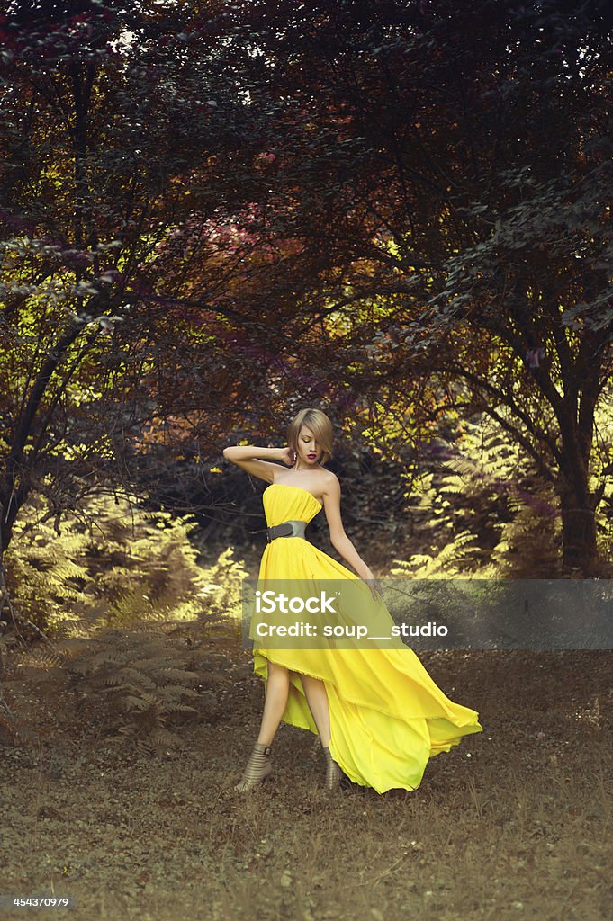 Hermosa mujer en bosque de hadas - Foto de stock de Bosque libre de derechos