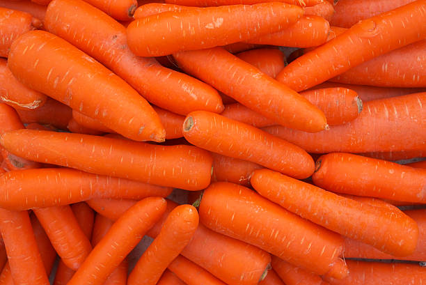 carrot stock photo