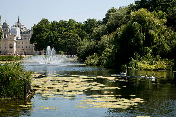 istock Beautiful lake in a park 454371603