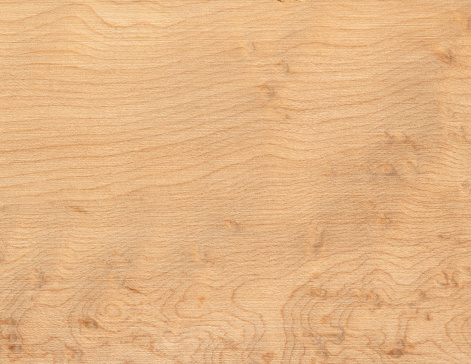 Soft Maple wood background. High resolution and lot of details.