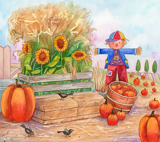 Patch Time Watercolor Illustration of a pumpkin patch, with scarecrow, birds, pumpkins and sunflowers. pumpkin patch watercolor stock illustrations