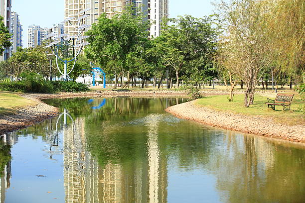 istock lake in college 454383857