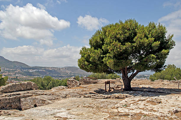istock Green tree grown on ancient ruins with sky background 454394723
