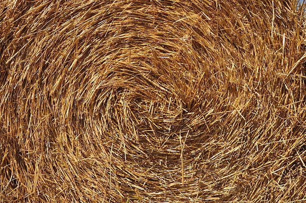 istock natural background of straw 454401861