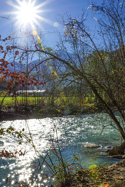 paisaje de otoño con palmeras y al río - baumblätter fotografías e imágenes de stock