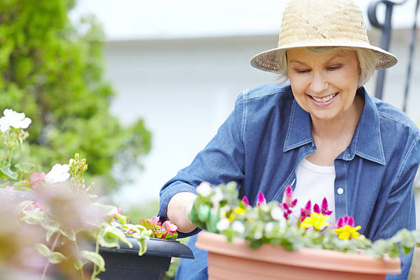 istock My flowers are blooming! 454404277