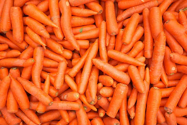 Photo of carrot