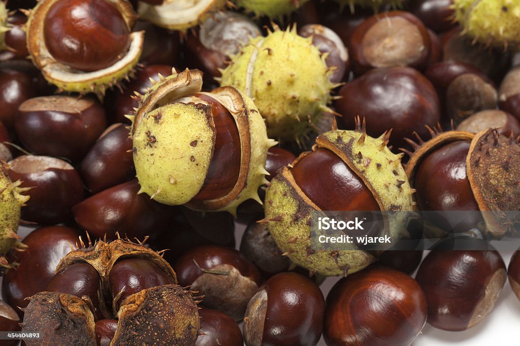chestnuts - Стоковые фото Без людей роялти-фри
