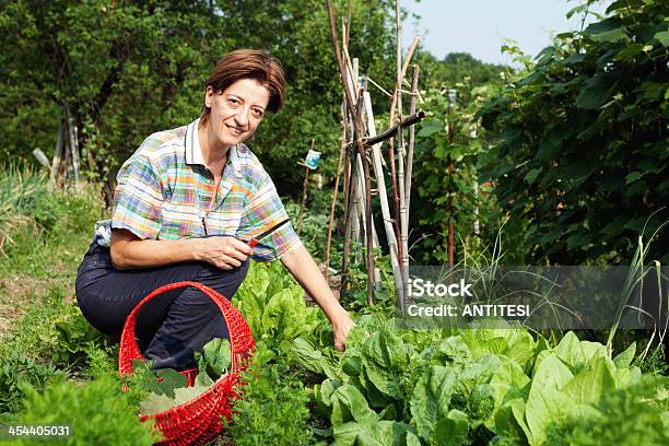 Chica Recolección De Las Verduras Foto de stock y más banco de imágenes de Adulto - Adulto, Agricultor, Agricultura