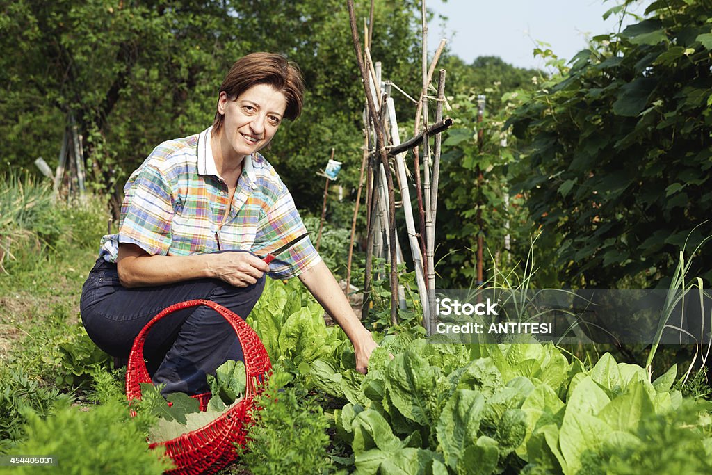 Ragazza scegliere le verdure - Foto stock royalty-free di Adulto