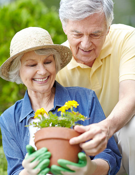 istock Your flowers are looking splendid! 454405503