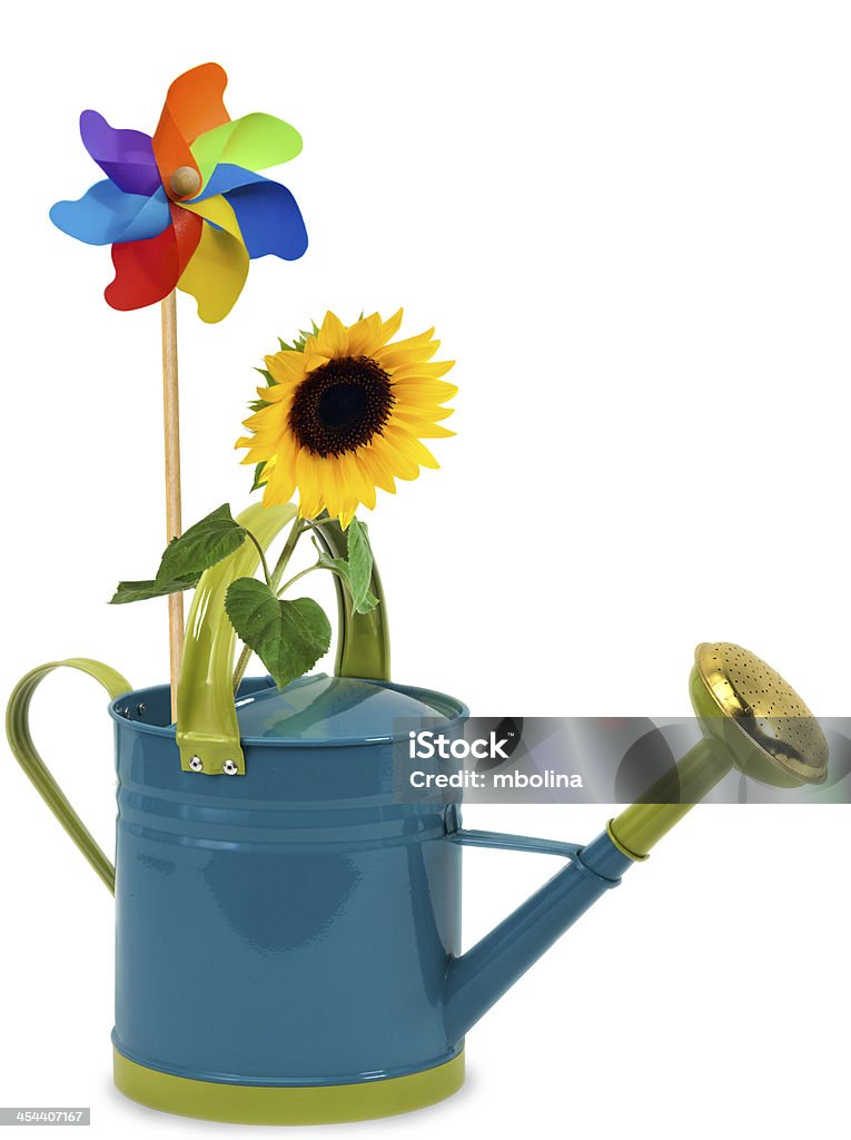 Watering can with sunflower Yellow sunflower and toy windmill in a watering can Color Image Stock Photo