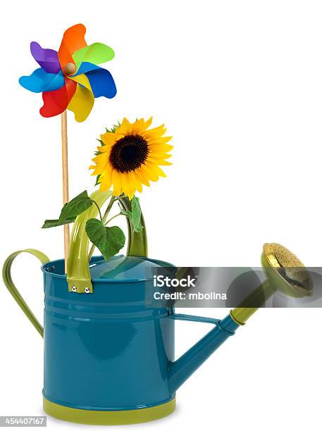 Watering Can With Sunflower Stock Photo - Download Image Now - Color Image, Cut Out, Flower Head