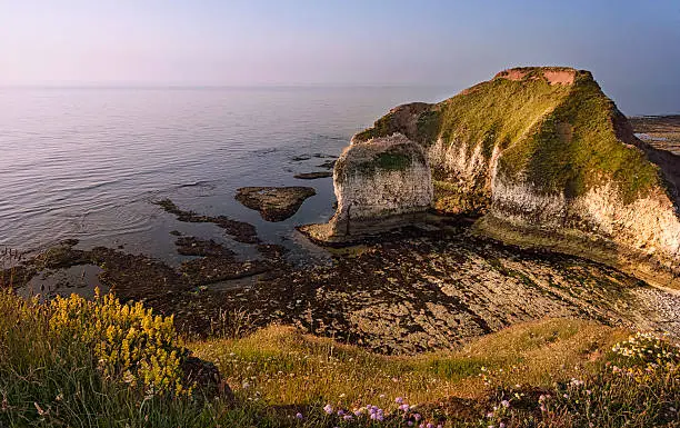 View of the high chalk cliffs, promontory, and coastline flanked by the North Sea at Flamborough Head in the East Riding of Yorkshire, UK. This photo was taken on a bright sunny dawn in summer.