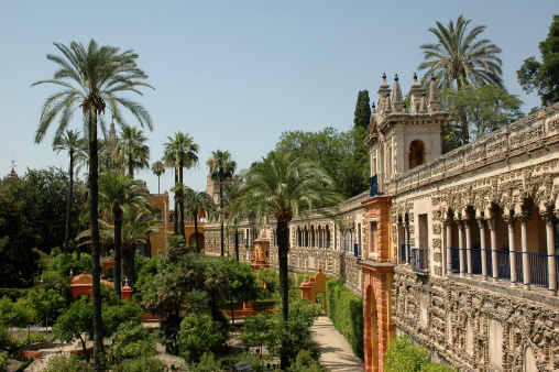 Alcazar Gardens Seville Spain with palm-trees in daylight