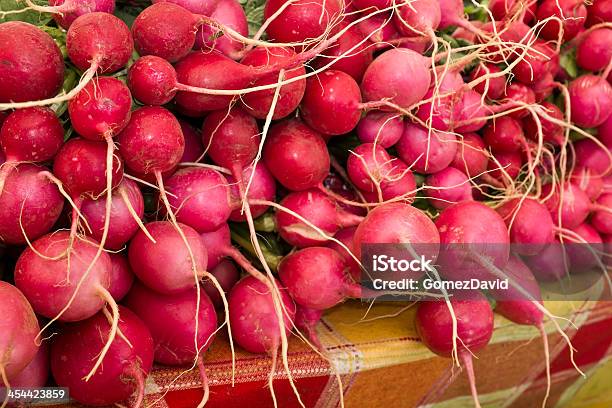 Close Up Of オーガニックなレッド Radishes のファーマーズマーケット - アブラナ科のストックフォトや画像を多数ご用意 - アブラナ科, オーガニック, カラー画像