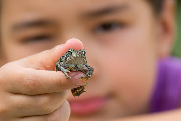 Child holding sapo - foto de stock