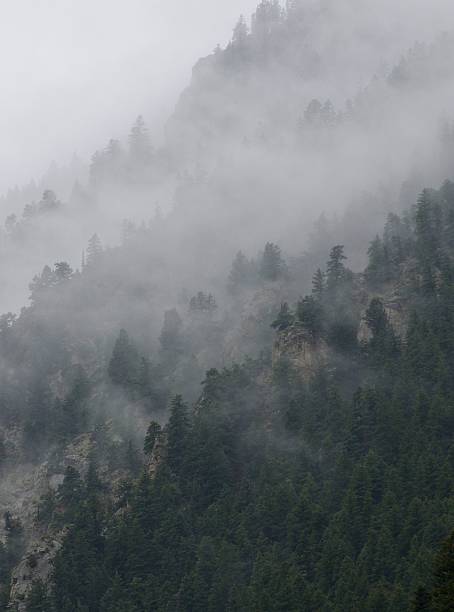 istock Rocky Mountains in Fog 454439509