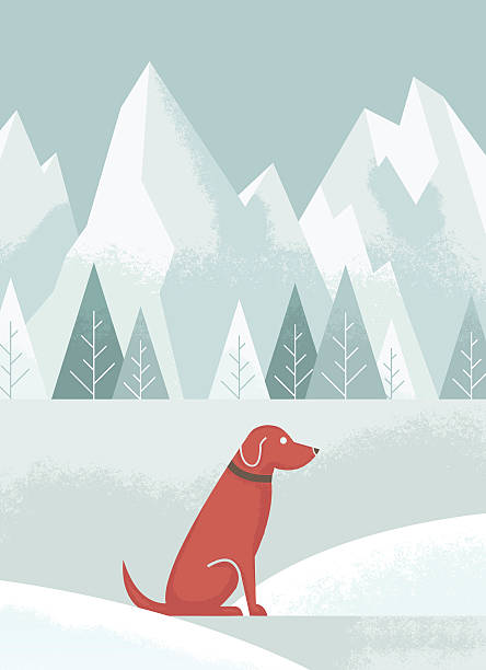illustrations, cliparts, dessins animés et icônes de chien en hiver - animal dog winter snow