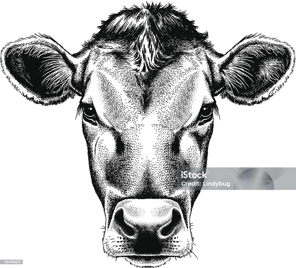 Vector illustration portrait of a cow's face Black and white sketch of a cow's face. Cow stock vector