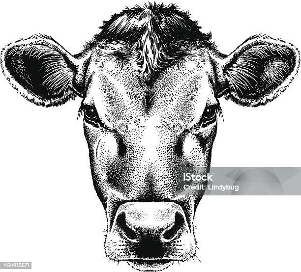 Vector Illustration Portrait Of A Cows Face Stock Illustration - Download Image Now - Cow, Illustration, Anthropomorphic Face