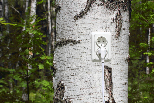 Tree Plug Out Power Receptacle And Switchplug On A Tree Stock Photo - Download Image ...