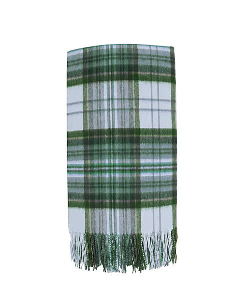 istock Colorful Wool green Plaid Scarf 454927057