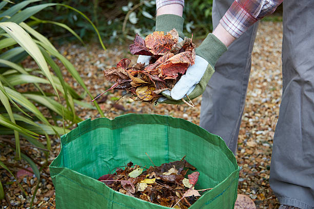 istock Man putting Fall leaves in garden waste bag 454927711