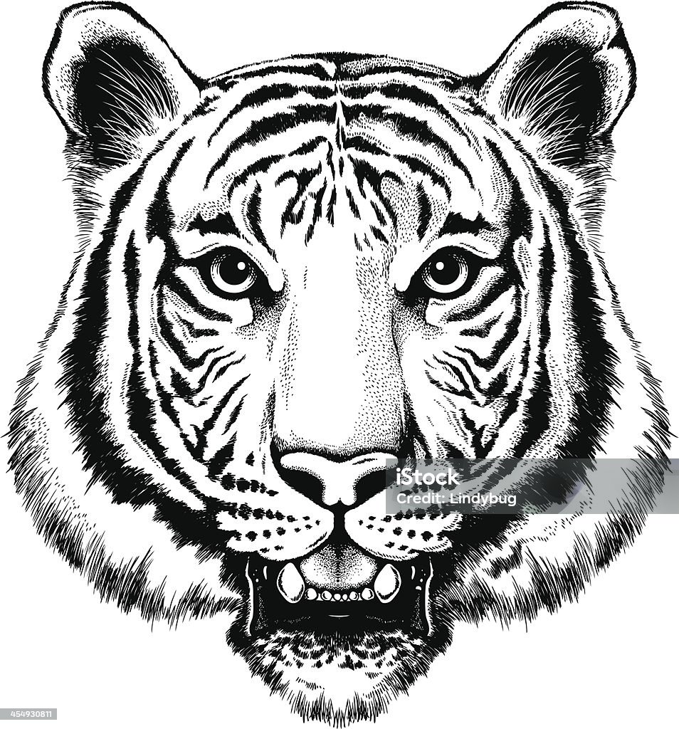 Black and white illustration of a portrait of a tiger Black and white vector illustration of a tiger's face Tiger stock vector