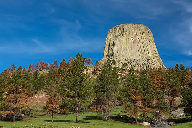 A rock formation on a tree covered hill.