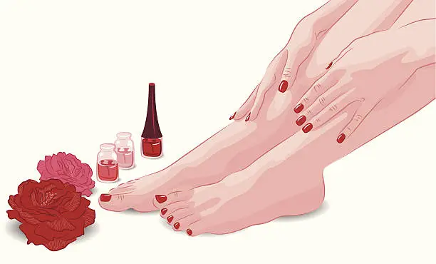 Vector illustration of Female feet and hands, manicures, pedicures