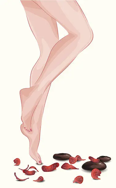 Vector illustration of Female feet, spa stones and rose petals