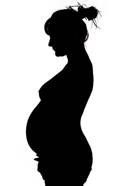 420+ Cute Pregnant Belly Silhouette Stock Photos, Pictures & Royalty