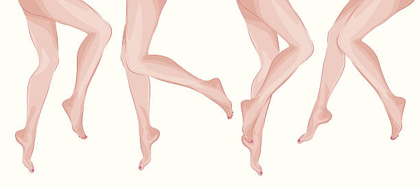 stockillustraties, clipart, cartoons en iconen met vector legs - woman foot