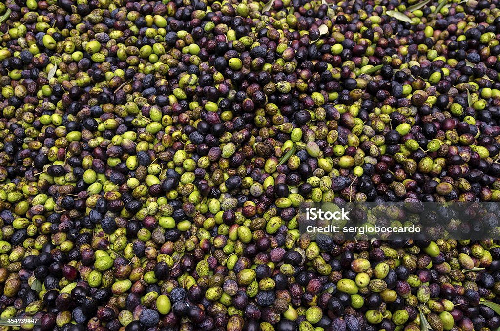 Verde y de aceitunas negro - Foto de stock de Aceituna libre de derechos