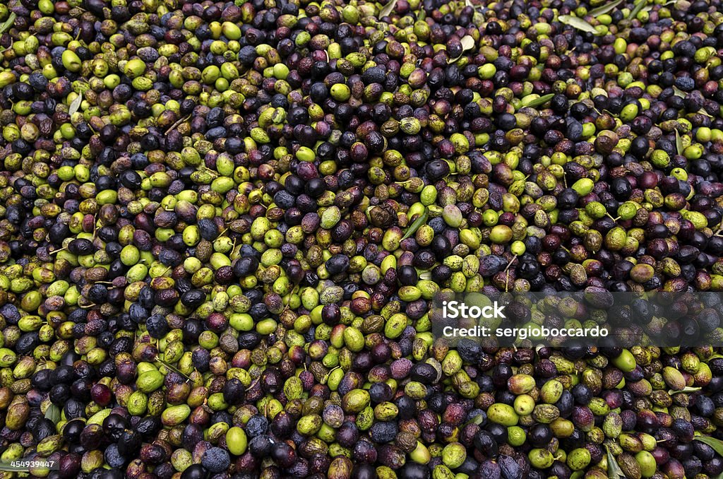 olive verdi e nere - Foto stock royalty-free di Ambiente